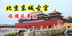 黑巨大屌操农村妇女主任逼视频中国北京-东城古宫旅游风景区